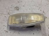 Front fender indicator light