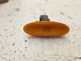 Front fender indicator light