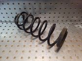 Rear coil spring