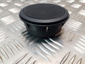 Panel speaker