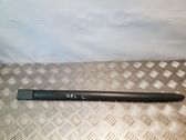 Rear door trim (molding)