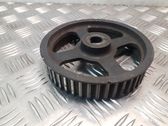 Fuel pump gear (pulley)