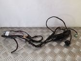 Front door wiring loom