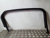 Other rear door trim element