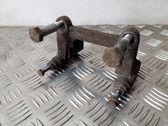 Rear brake pad spring