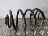 Rear coil spring