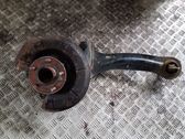 Rear wheel hub spindle/knuckle