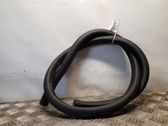 Rear door rubber seal (on body)