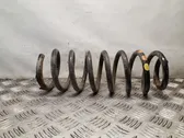 Rear coil spring