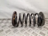 Rear coil spring