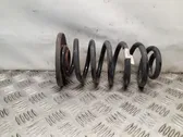 Rear coil spring