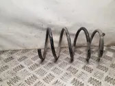 Front coil spring