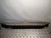 Wiper trim