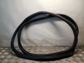 Front door rubber seal