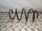 Front coil spring