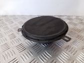 Rear door speaker