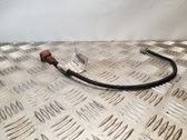 Other wiring loom