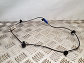 Other wiring loom