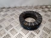 Rear coil spring rubber mount