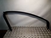 Other front door trim element