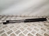 Front bonnet/hood damper/strut