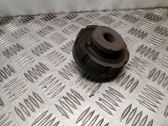 Rear coil spring rubber mount