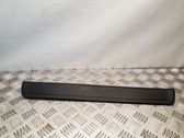 Moldura protectora del borde delantero