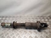Stoßdämpfer hinten