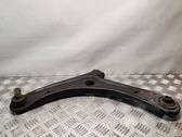 Front lower control arm/wishbone