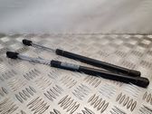 Rear window strut damper