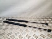 Tailgate/trunk strut/damper