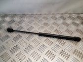 Front bonnet/hood damper/strut