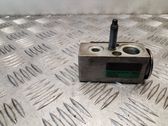 Air conditioning (A/C) expansion valve