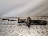Front shock absorber/damper