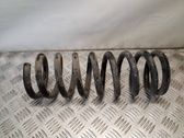 Front coil spring