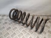 Front coil spring