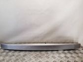 Trunk door license plate light bar