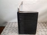 Air conditioning (A/C) radiator (interior)