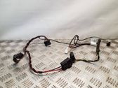 Other wiring loom