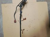 AdBlue injector