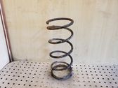 Rear coil spring