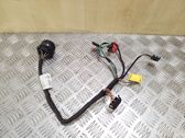 Other wiring loom