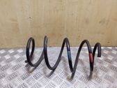 Front coil spring