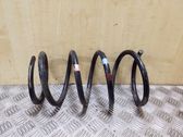 Front coil spring