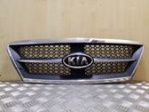 Front bumper upper radiator grill