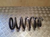 Front coil spring