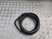 Front door rubber seal