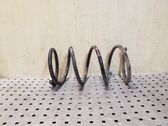 Front coil spring