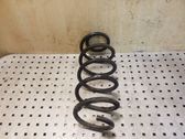 Front coil spring