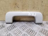 Front interior roof grab handle